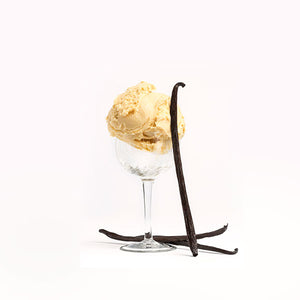 Kohu Road Pure Vanilla Ice Cream Scoop